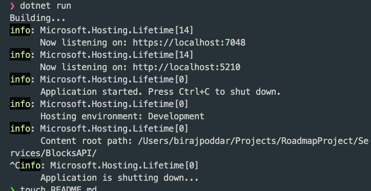 Run the project